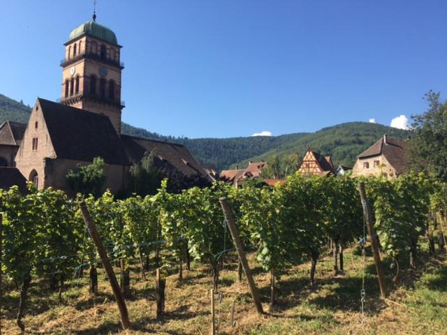 Appartement Au Charme Alsacien Kaysersberg-Vignoble Dış mekan fotoğraf